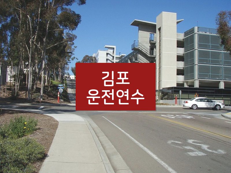 김포운전연수 후기