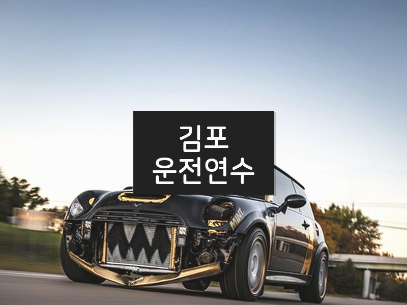 김포운전연수 후기