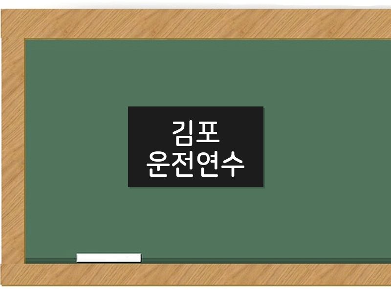 김포운전연수 후기