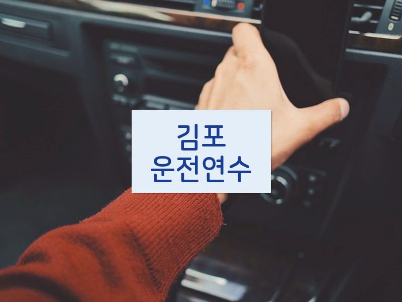 김포운전연수 후기