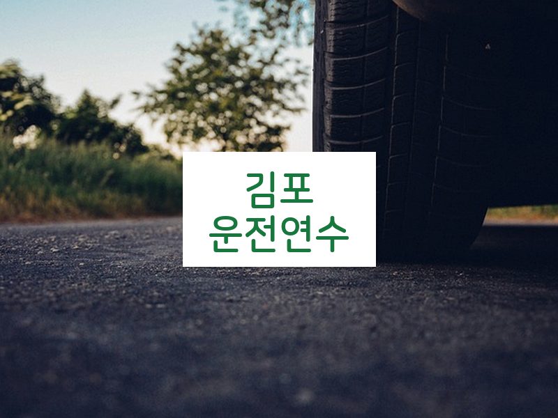 김포운전연수 후기