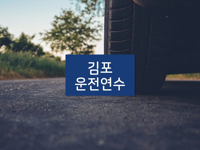 김포운전연수 후기