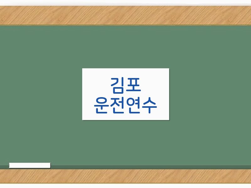 김포운전연수 후기