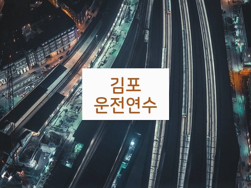 김포운전연수 후기