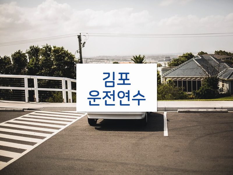김포운전연수 후기