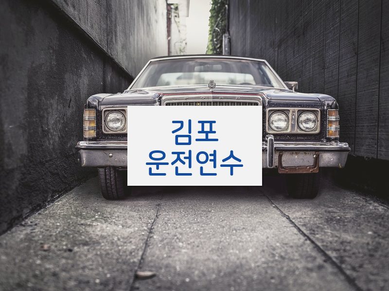 김포운전연수 후기
