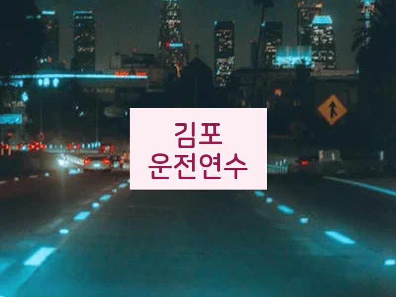 김포운전연수 후기