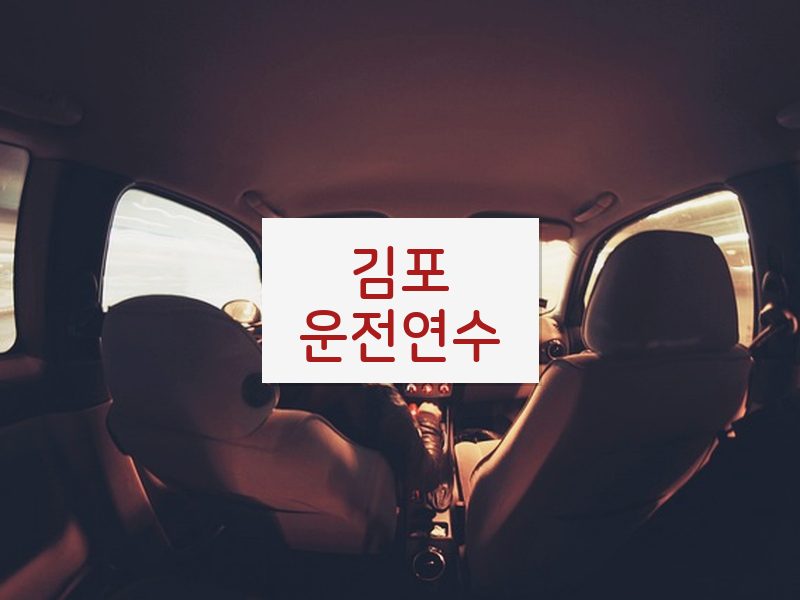 김포운전연수 후기