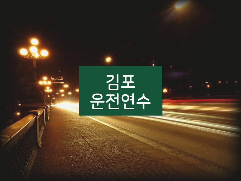 김포운전연수 후기