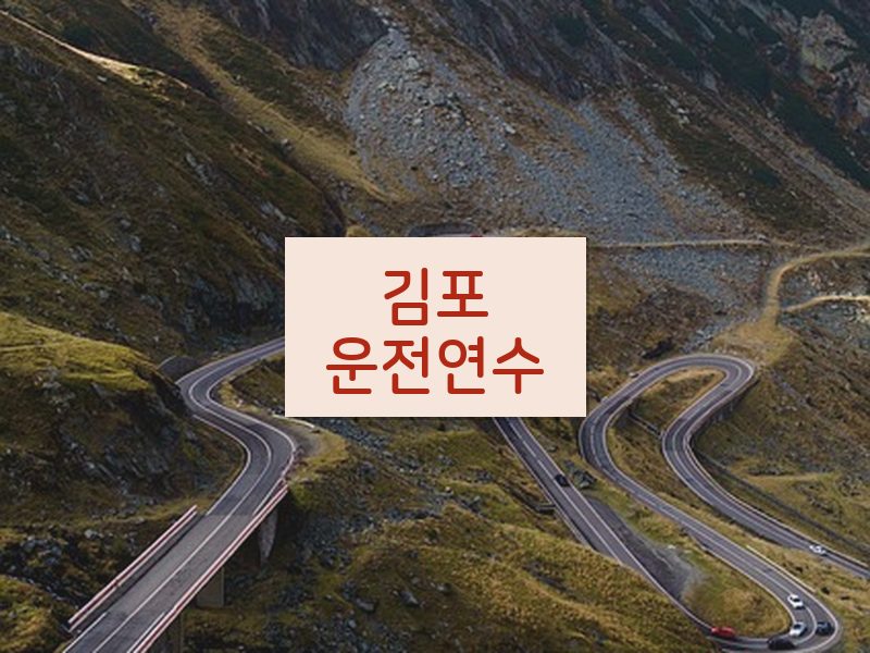 김포운전연수 후기