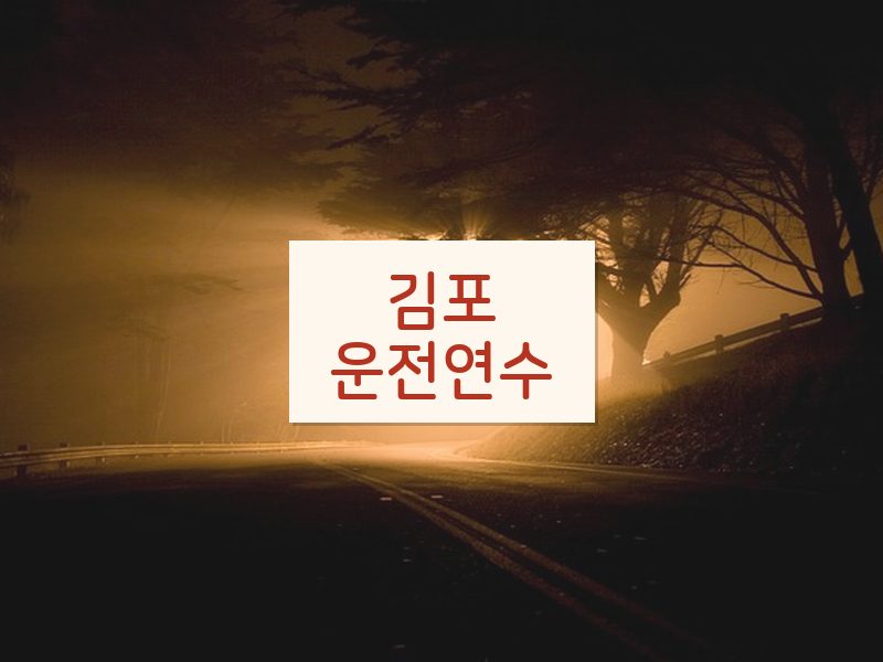 김포운전연수 후기