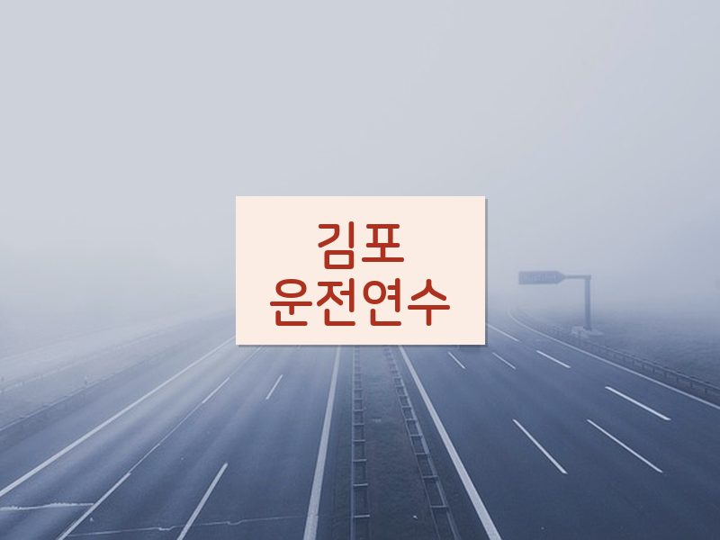 김포운전연수 후기