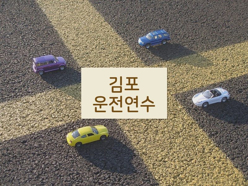 김포운전연수 후기