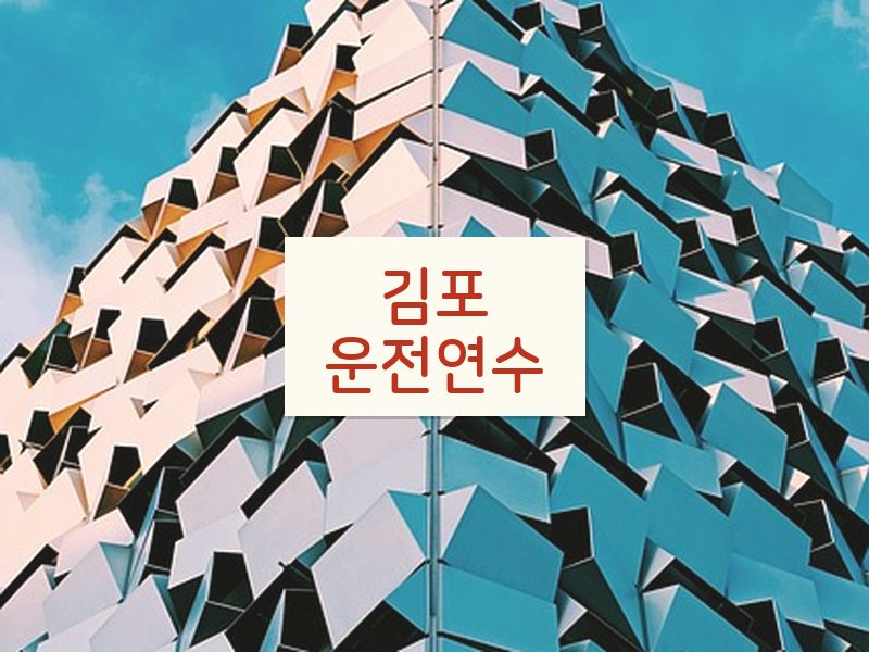 김포운전연수 후기