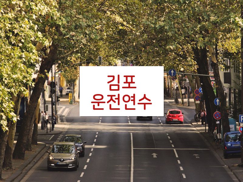 김포운전연수 후기