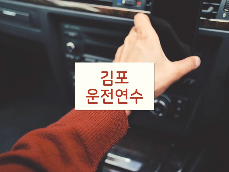 김포운전연수 후기