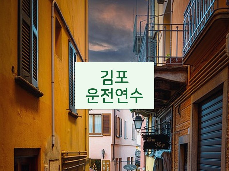 김포운전연수 후기