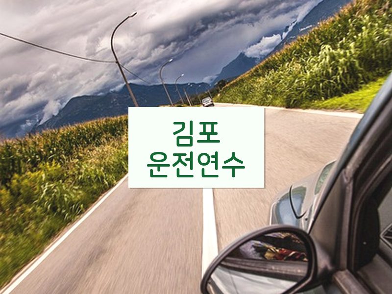 김포운전연수 후기