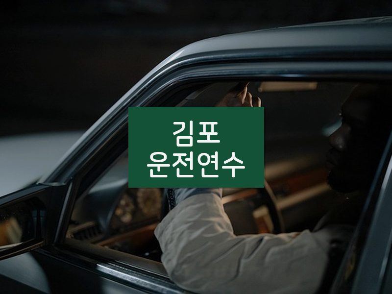 김포운전연수 후기