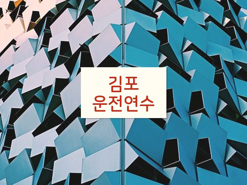 김포운전연수 후기