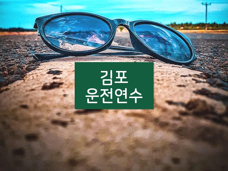 김포운전연수 후기