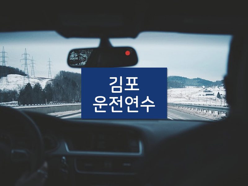 김포운전연수 후기