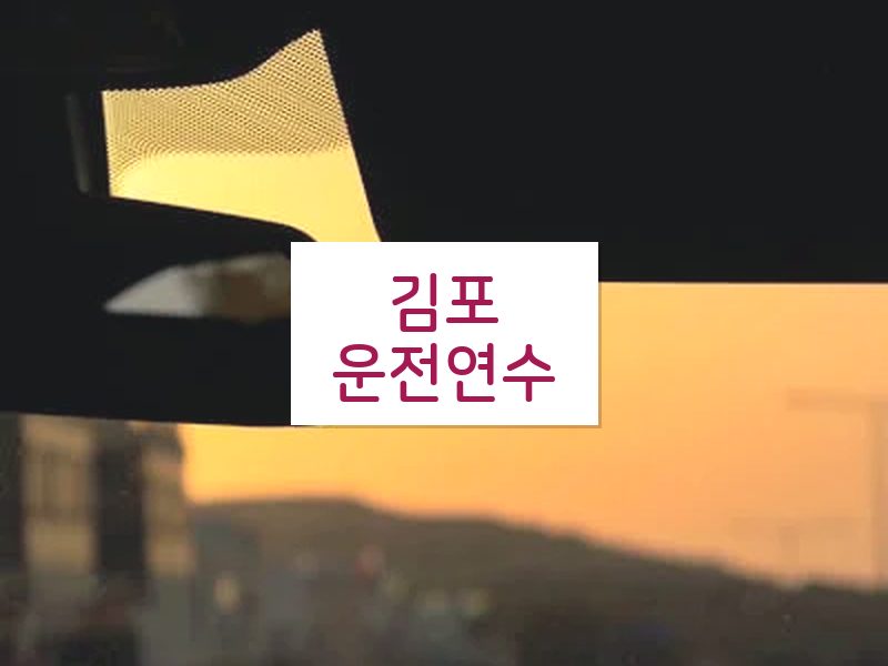 김포운전연수 후기