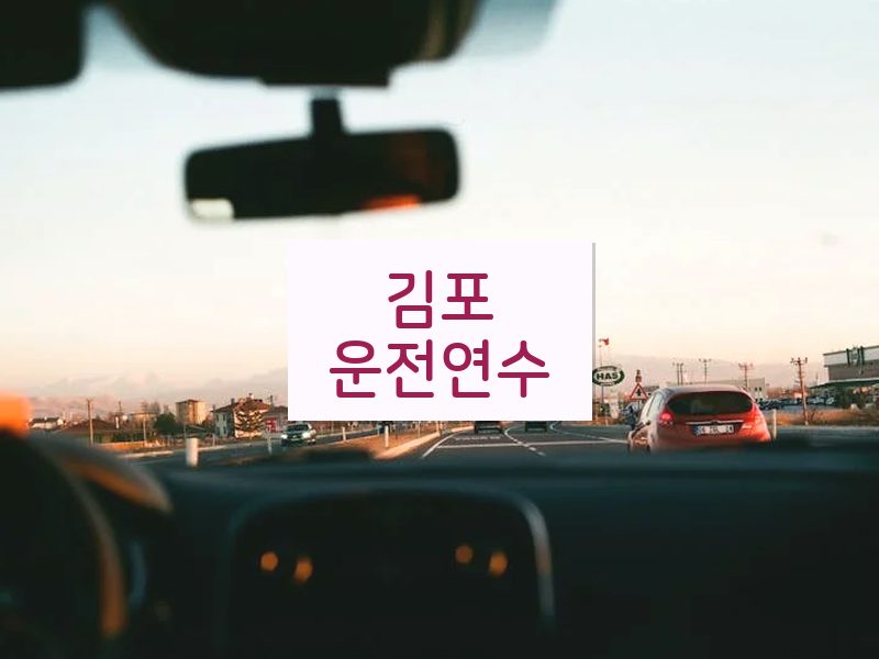 김포운전연수 후기