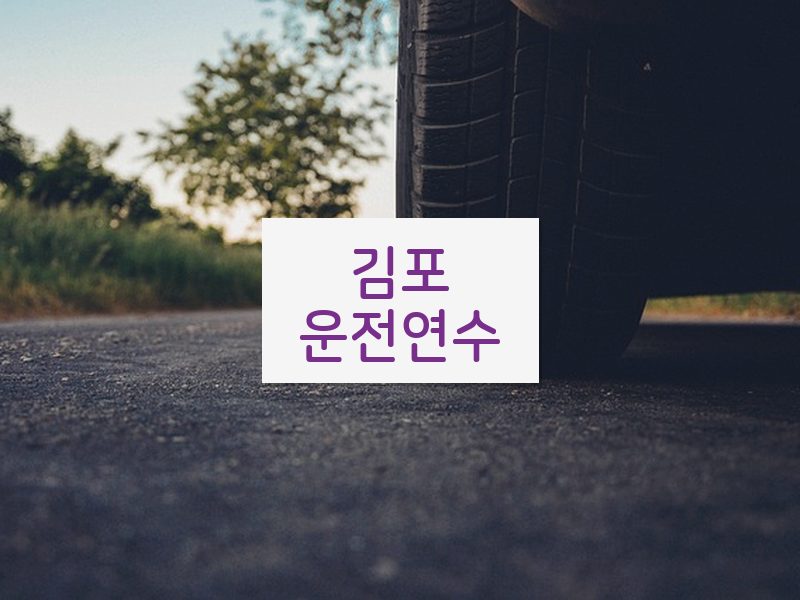 김포운전연수 후기