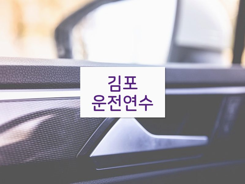 김포운전연수 후기