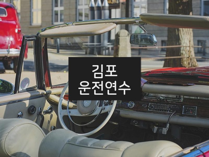 김포운전연수 후기