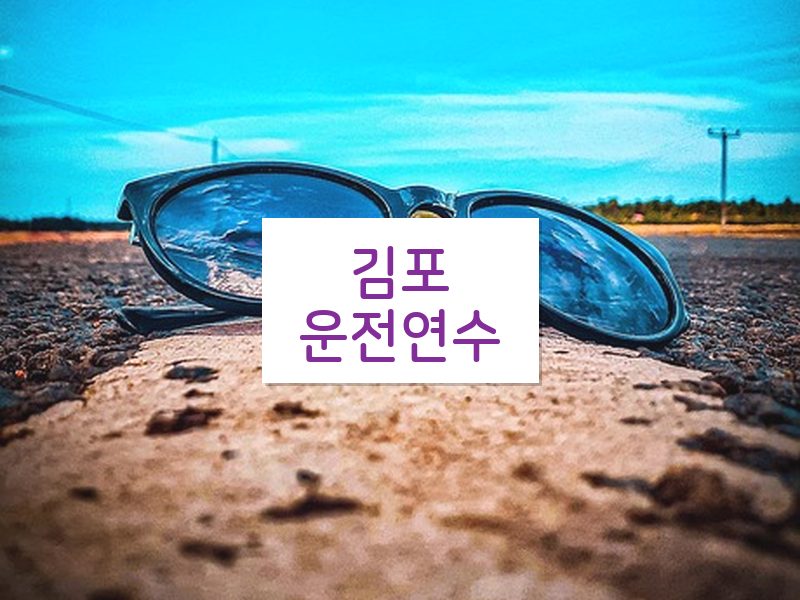 김포운전연수 후기