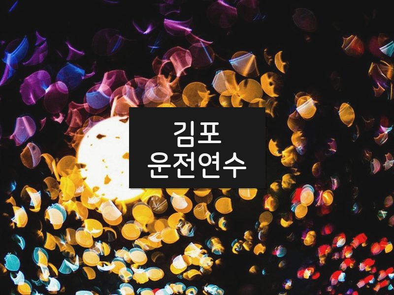 김포운전연수 후기