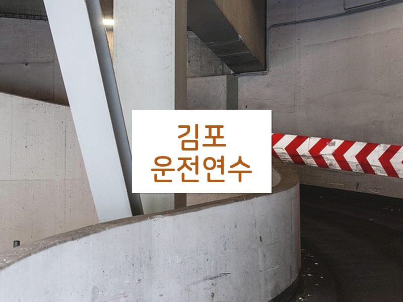 김포운전연수 후기