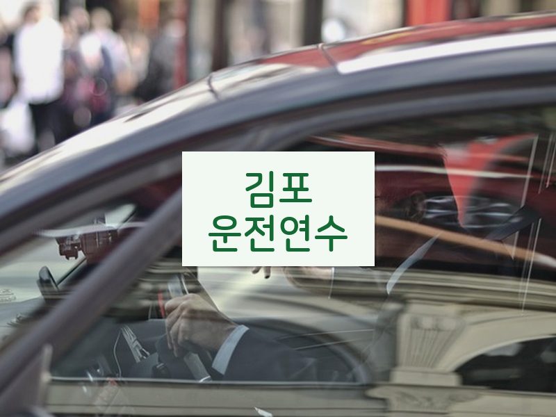 김포운전연수 후기