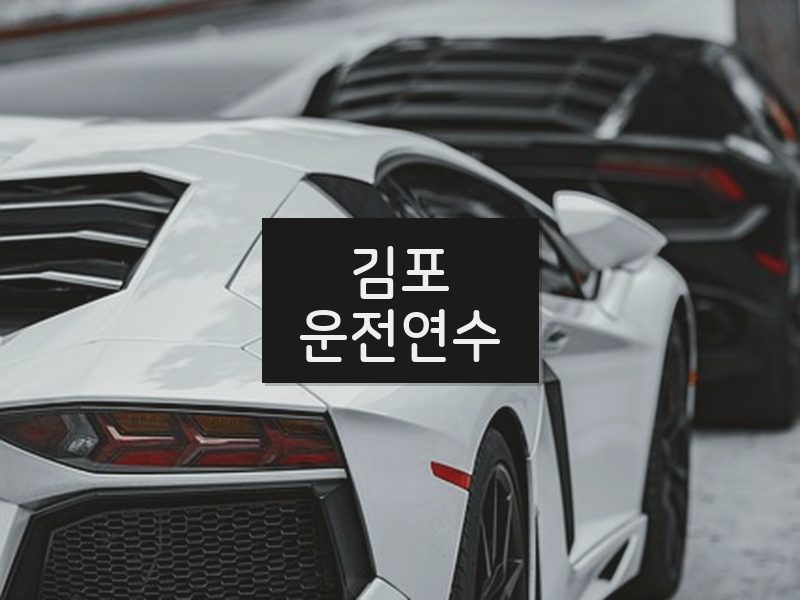 김포운전연수 후기