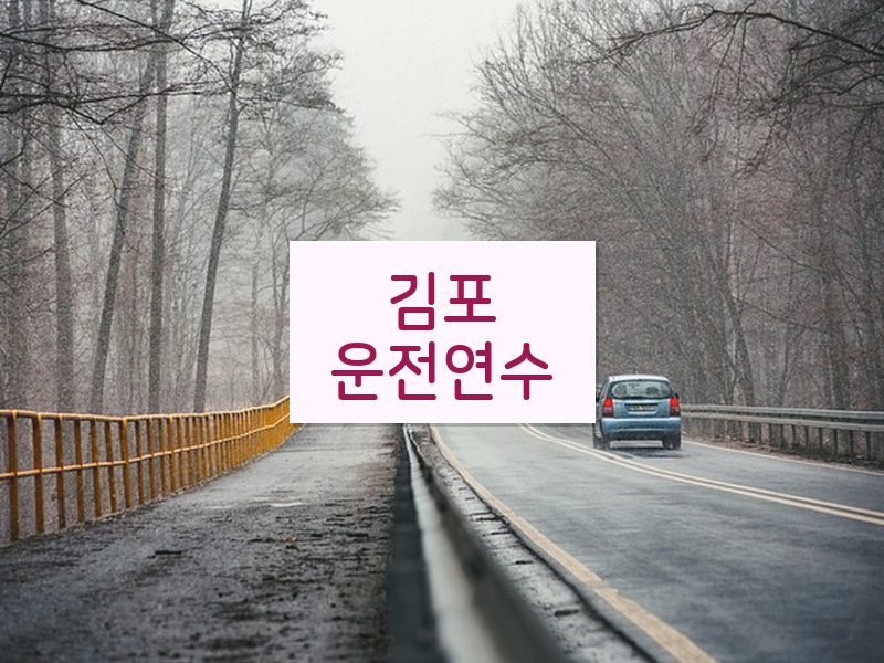 김포운전연수 후기