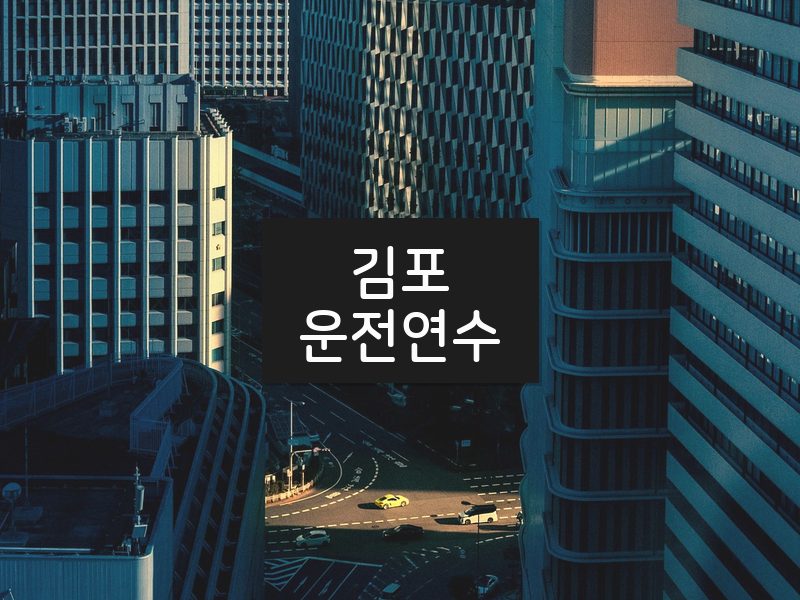 김포운전연수 후기