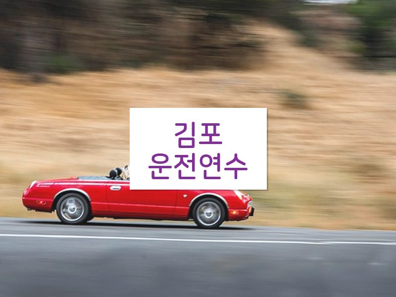 김포운전연수 후기