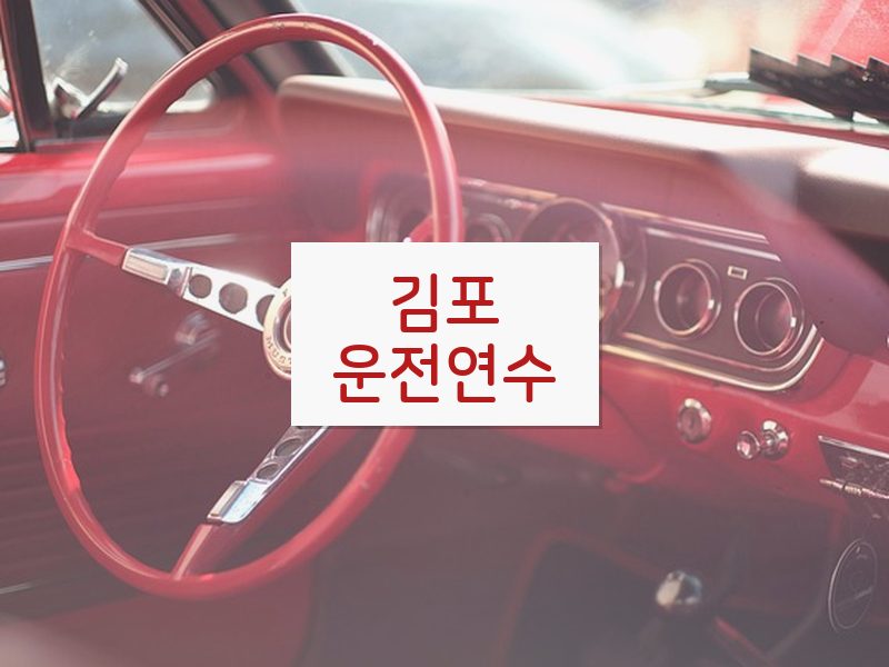 김포운전연수 후기