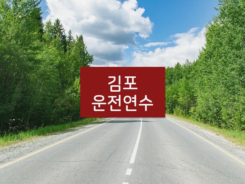 김포운전연수 후기