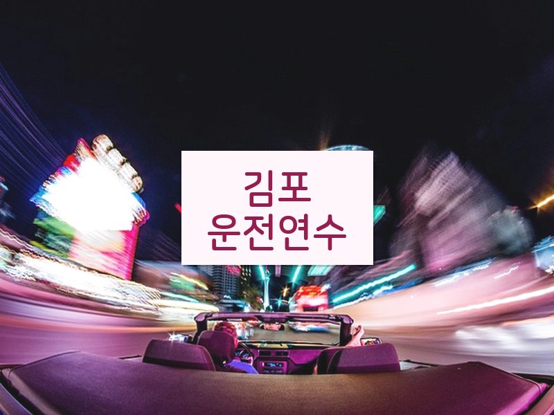 김포운전연수 후기