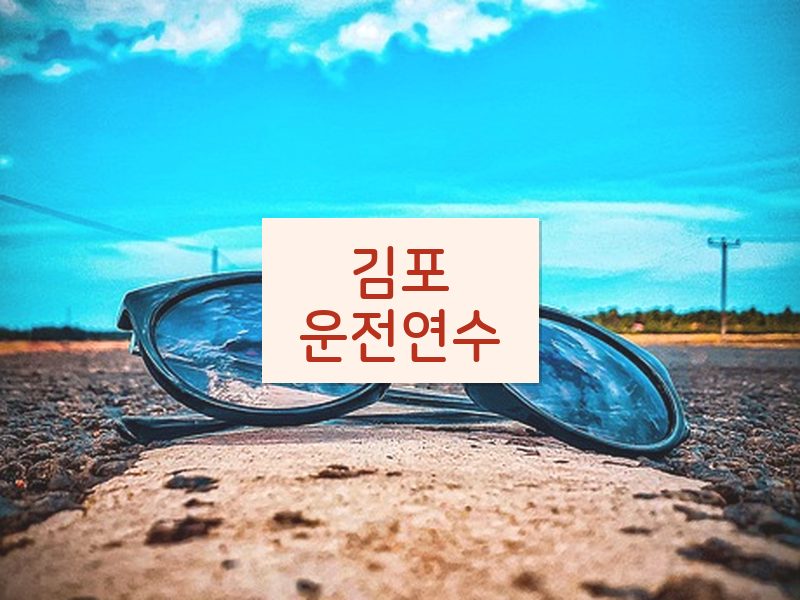 김포운전연수 후기