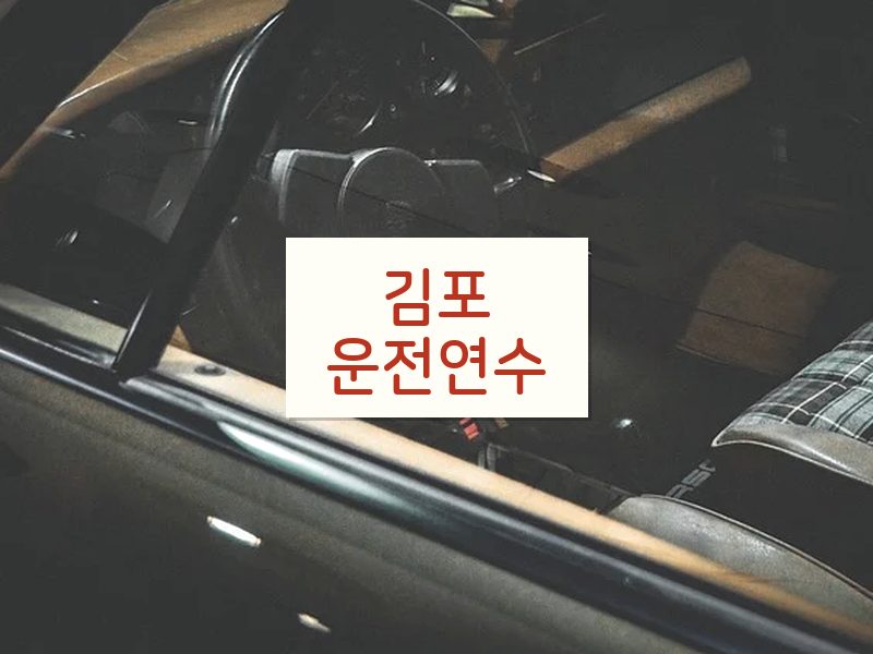 김포운전연수 후기