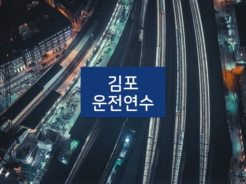 김포운전연수 후기