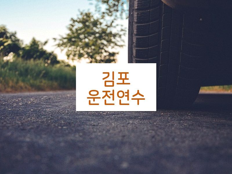 김포운전연수 후기