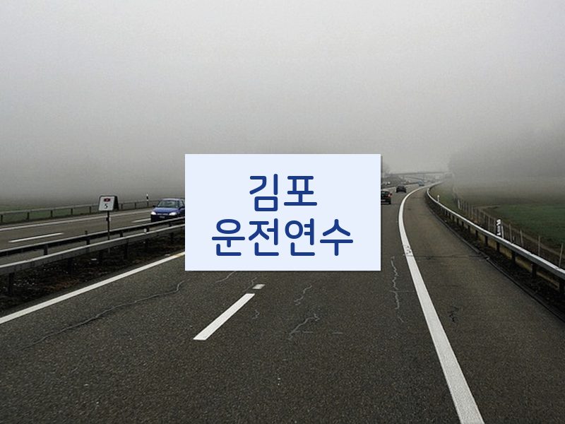 김포운전연수 후기