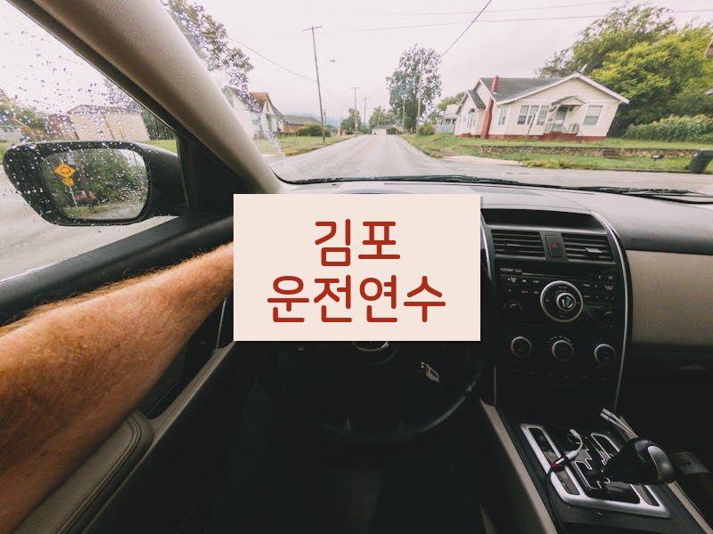 김포운전연수 후기