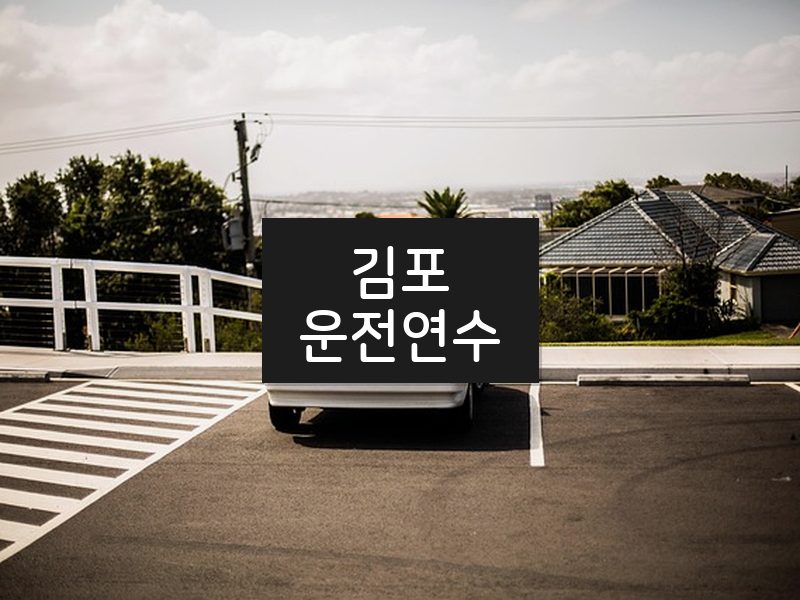 김포운전연수 후기