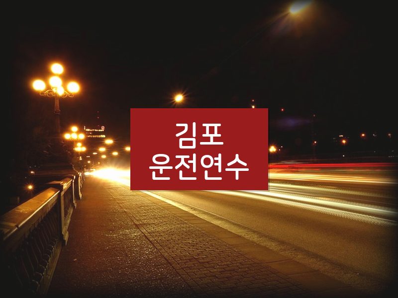 김포운전연수 후기